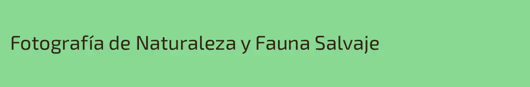 Fotografía de Naturaleza y Fauna Salvaje